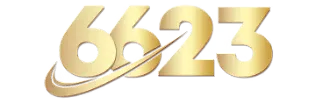 6623B11 .COM